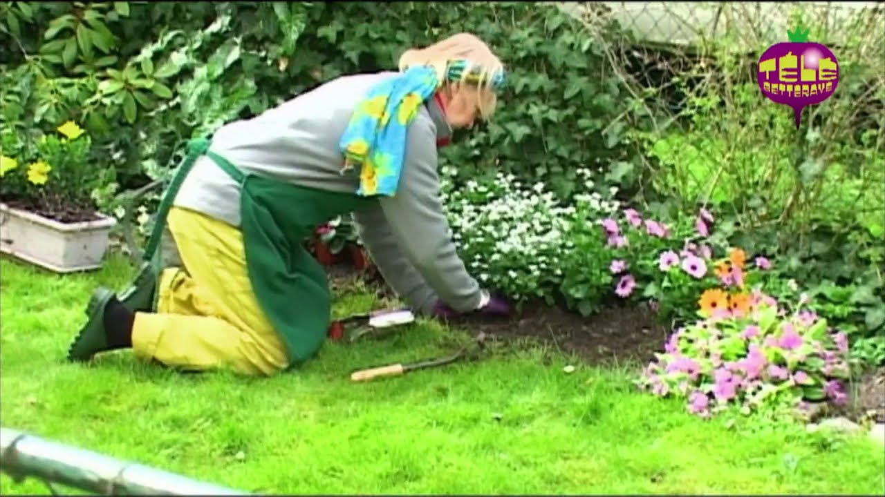 Village fleuri - Groland - CANAL+