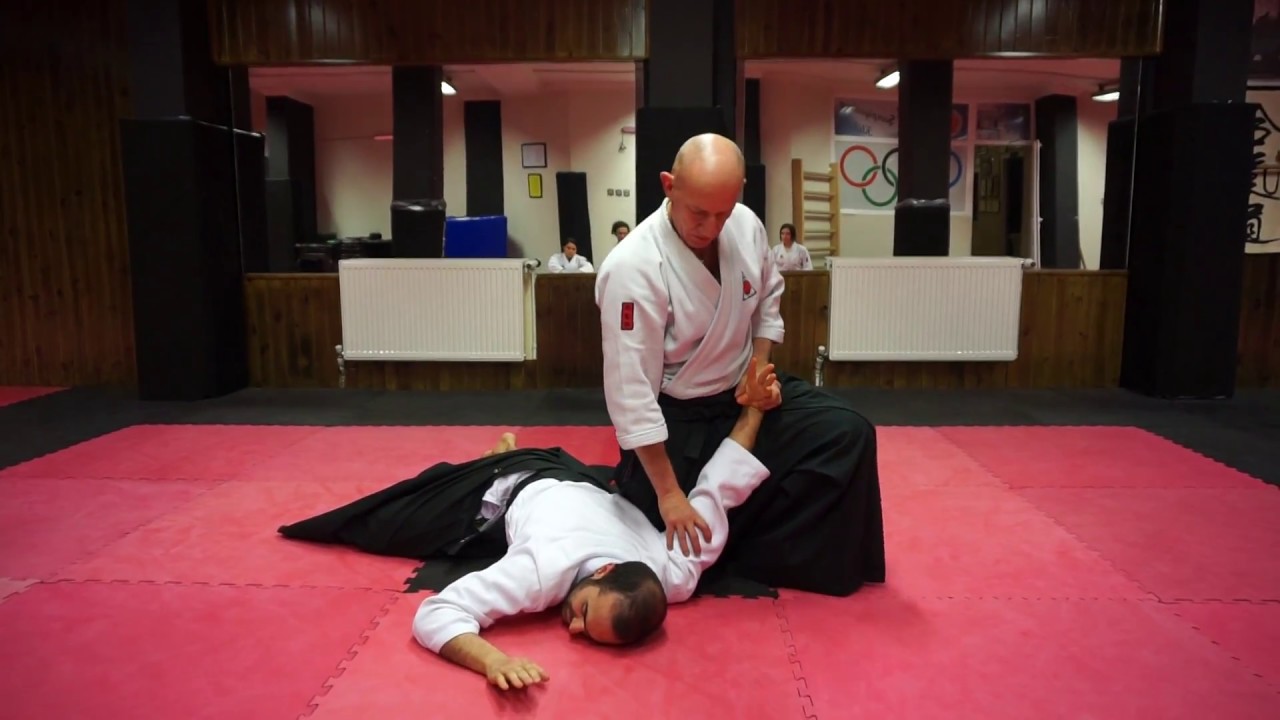 Soft and Fluid Aikido / Yumuşak ve Akıcı Aikido - Gyaku Hamni Katate Dori Jiyu waza