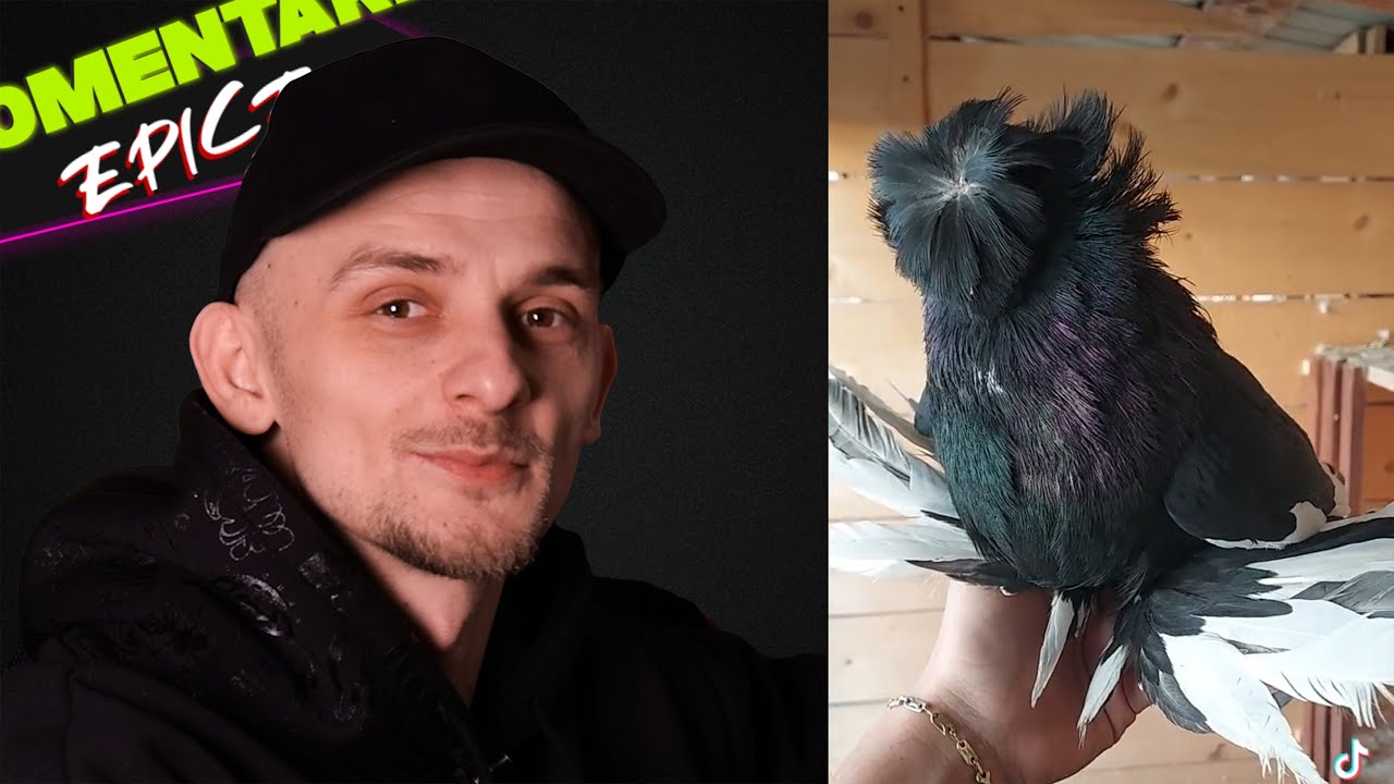 Cele mai rele 