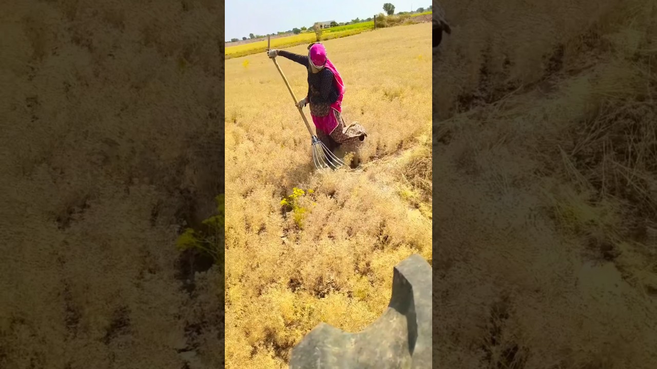 यह क्या हो गया था #tekter #indianfarmer #farming #jiraiya #indianoccupation #kisan #farmersfight