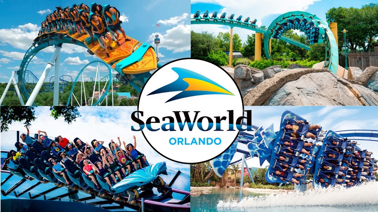 Seaworld Orlando : une bonne surprise ?
