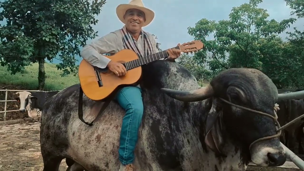 CUANDO MELO MAME -  LOS BACANES DE LA PARRANDA - 4K - Música parrandera 2024