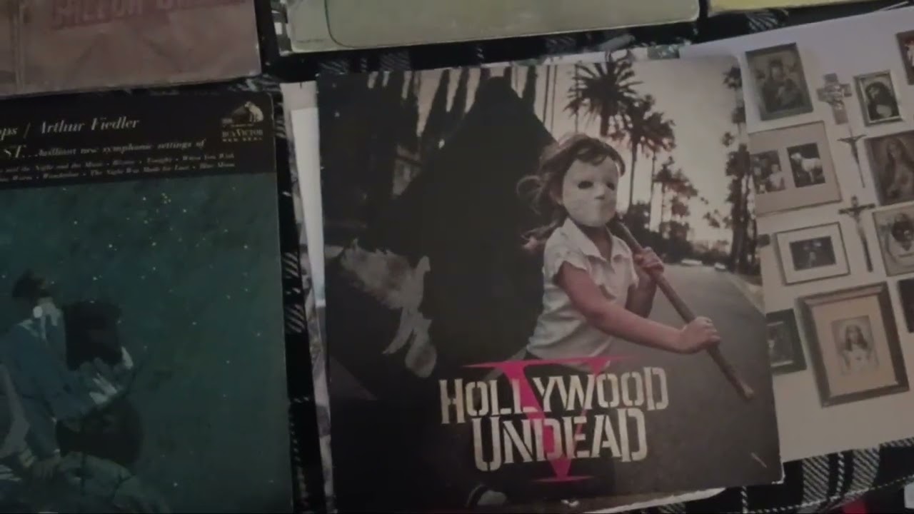 My collection of these vinyl records 