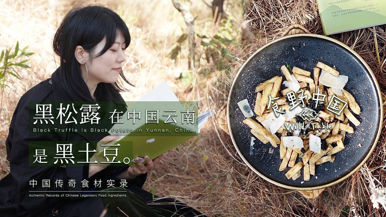 《食野中国 Wild Table》第1集：黑松露在中国云南是黑土豆。