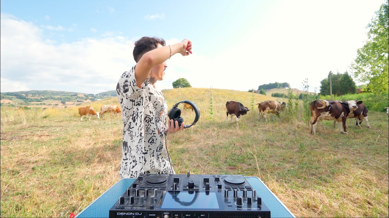 Electronic Chill Set  with Cows