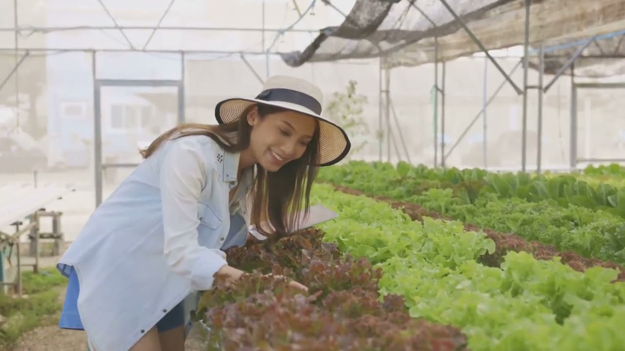 Revolutionizing the Food Supply Chain: Introducing GreenRoute