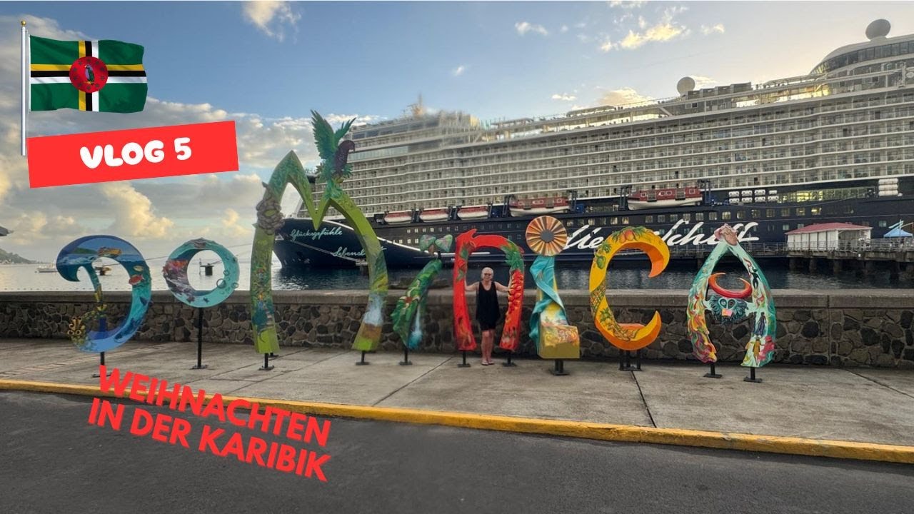 Roseau Dominica/Karibik Mein Schiff 2,Safari zur Titou-George-Schlucht,Speedbootfahrt mit Delfinen