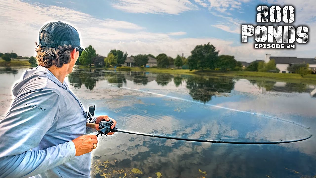 I Found A LOADED Neighborhood Pond! (