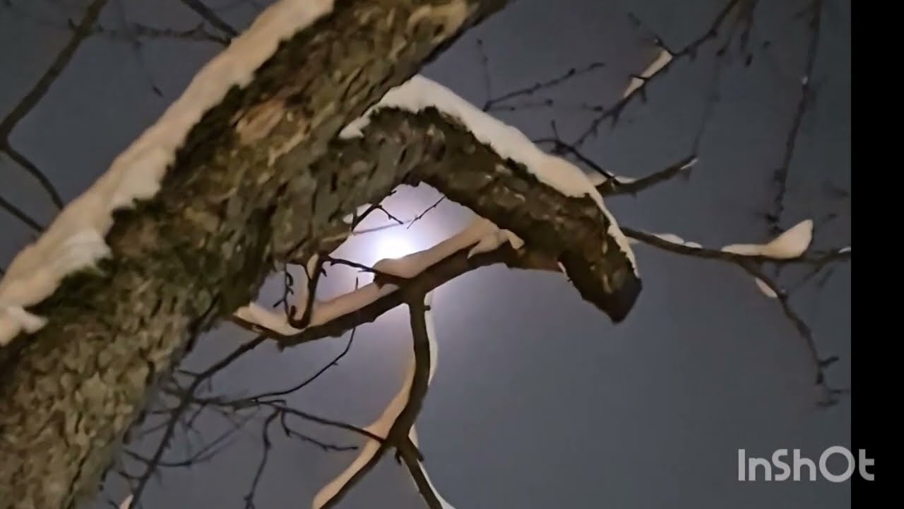 Красивая душевная музыка.
