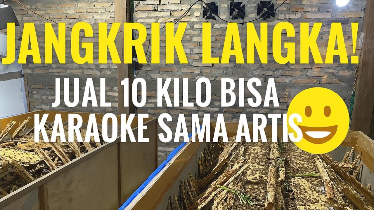 Modal Kecil, Panen Jutaan &mdash; Saatnya Ternak Jangkrik!