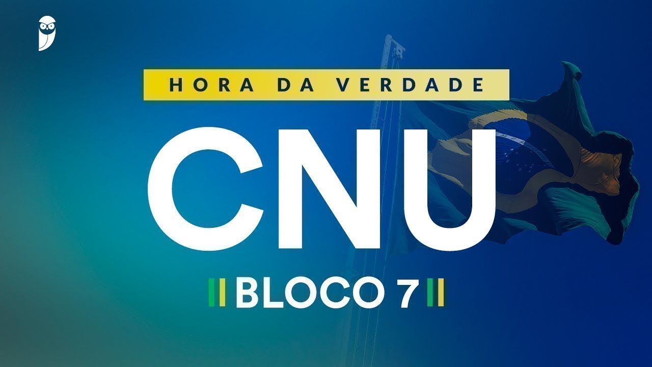 Hora da Verdade CNU Bloco 7: Acesso &agrave; Justi&ccedil;a e Prote&ccedil;&atilde;o da inf&acirc;ncia -  Prof. Lilian Novakoski