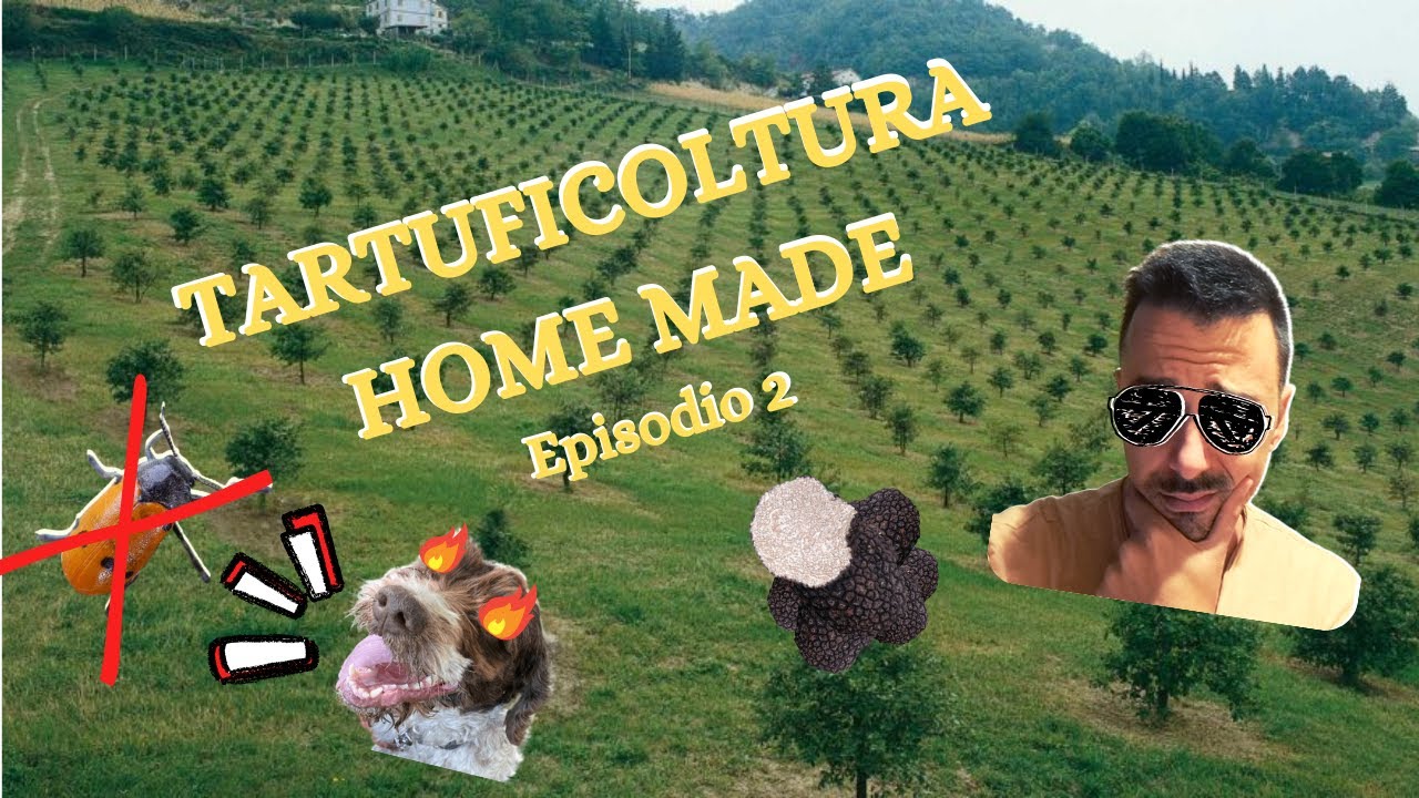 🌲TARTUFICOLTURA FAI DA TE!🌲 EASY & HOMEMADE 😉