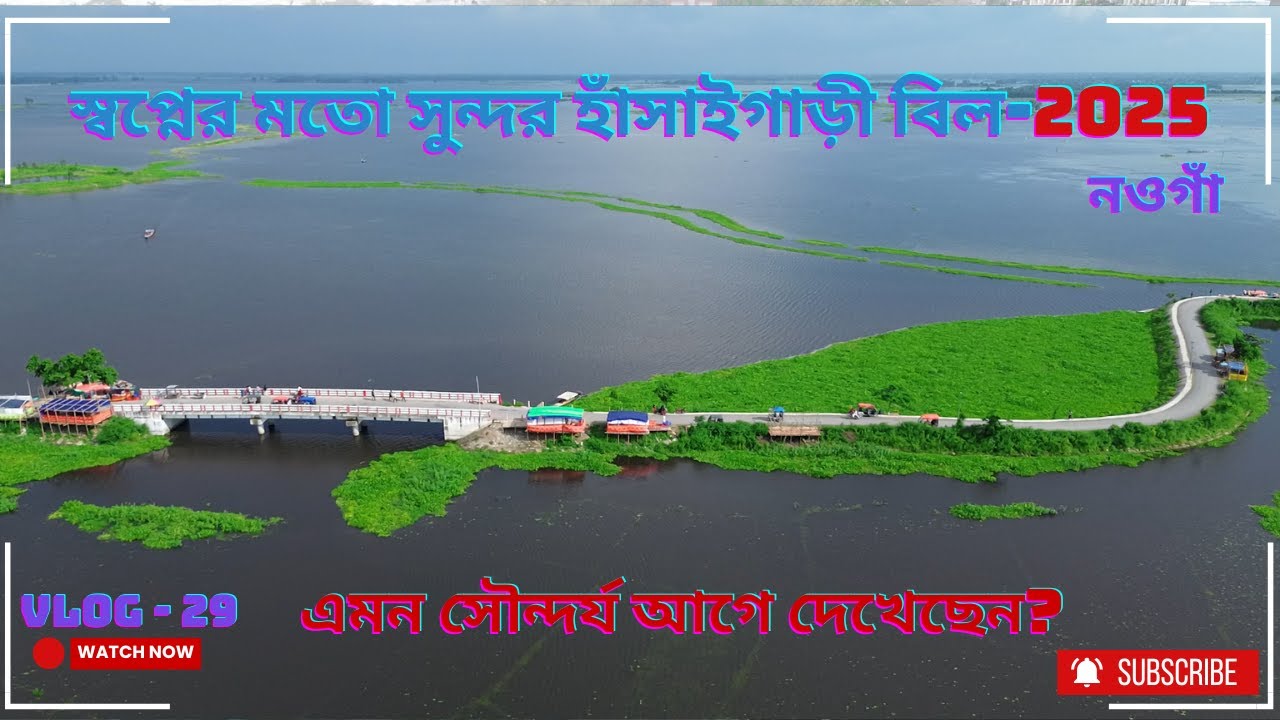 স্বপ্নের মতো সুন্দর হাঁসাইগাড়ী বিল - নওগাঁর অজানা রত্ন । hasaigari bil naogaon । নওগাঁ । V 29 ।