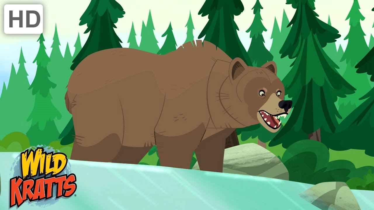 Wild Kratts | Bears Around the World | Black Bears, Grizzly Bears, Polar Bears and Panda Bears