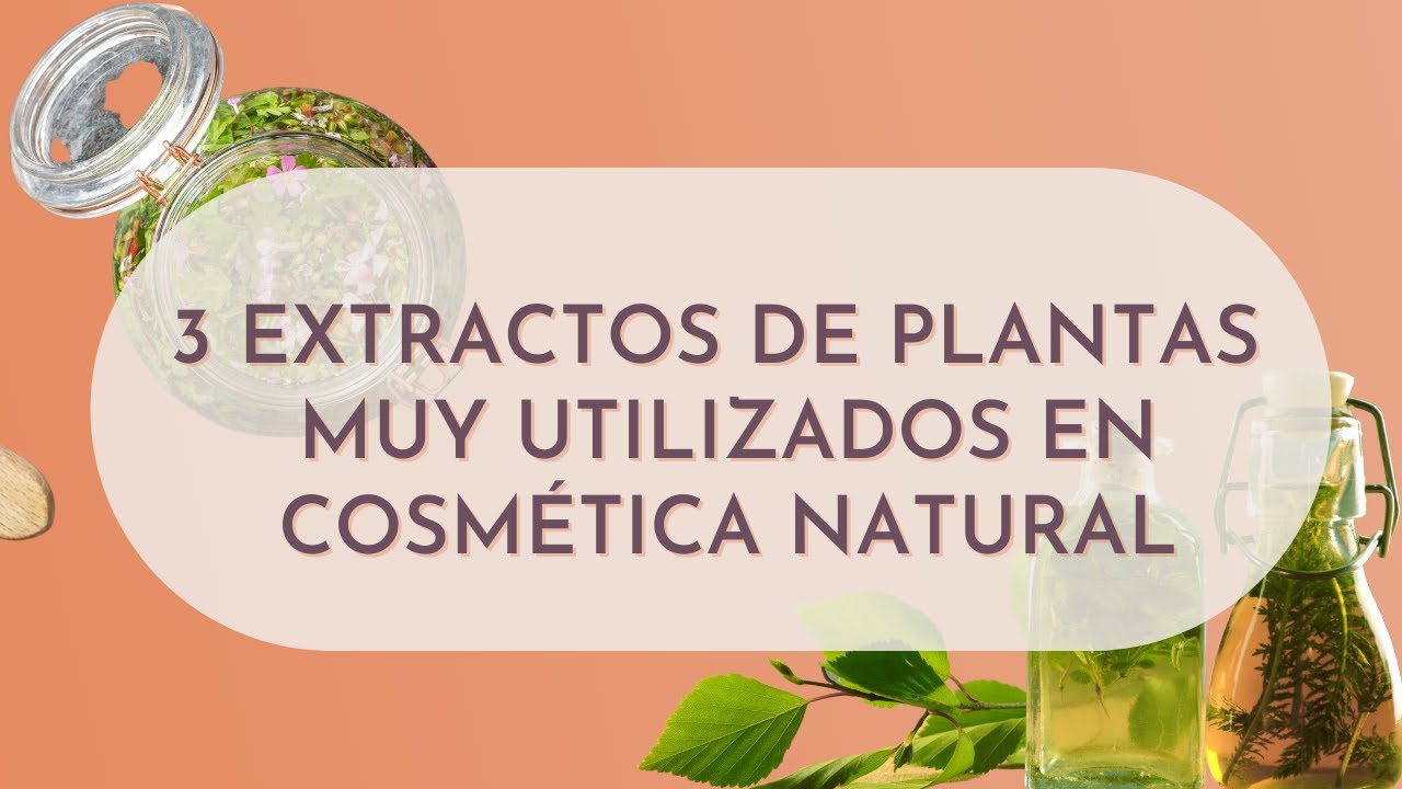 3 EXTRACTOS de plantas 🌿  muy utilizados en 🌺 COSMÉTICA NATURAL 🌺