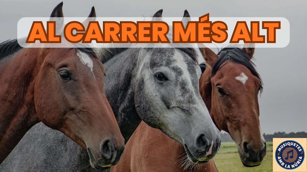 AL CARRER M&Eacute;S ALT