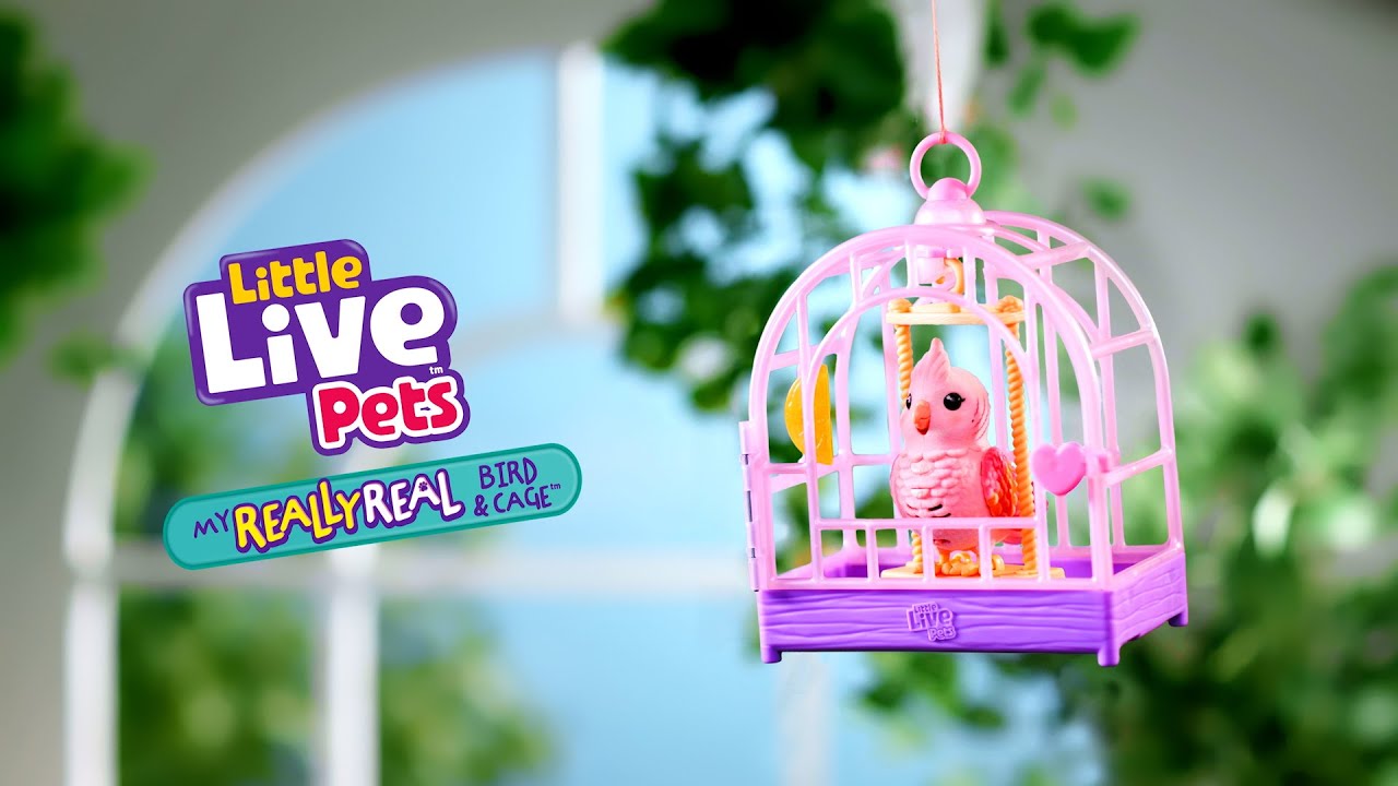 LITTLE LIVE PETS I My Really Real Bird & Cage TVC I 20