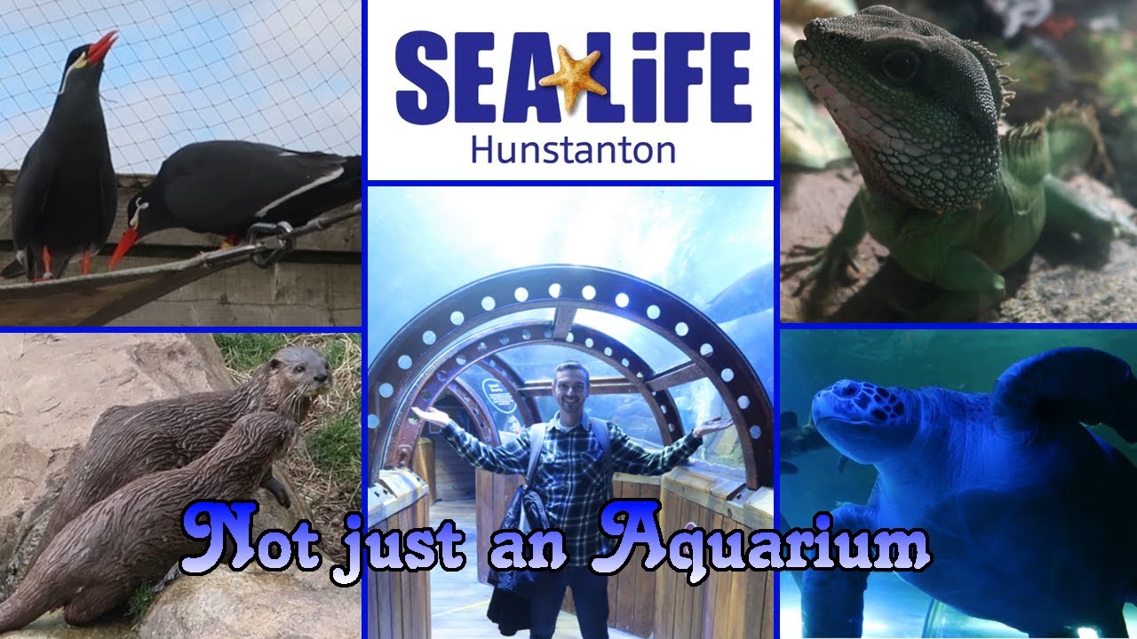 Water we doing today? Sea life Hunstanton