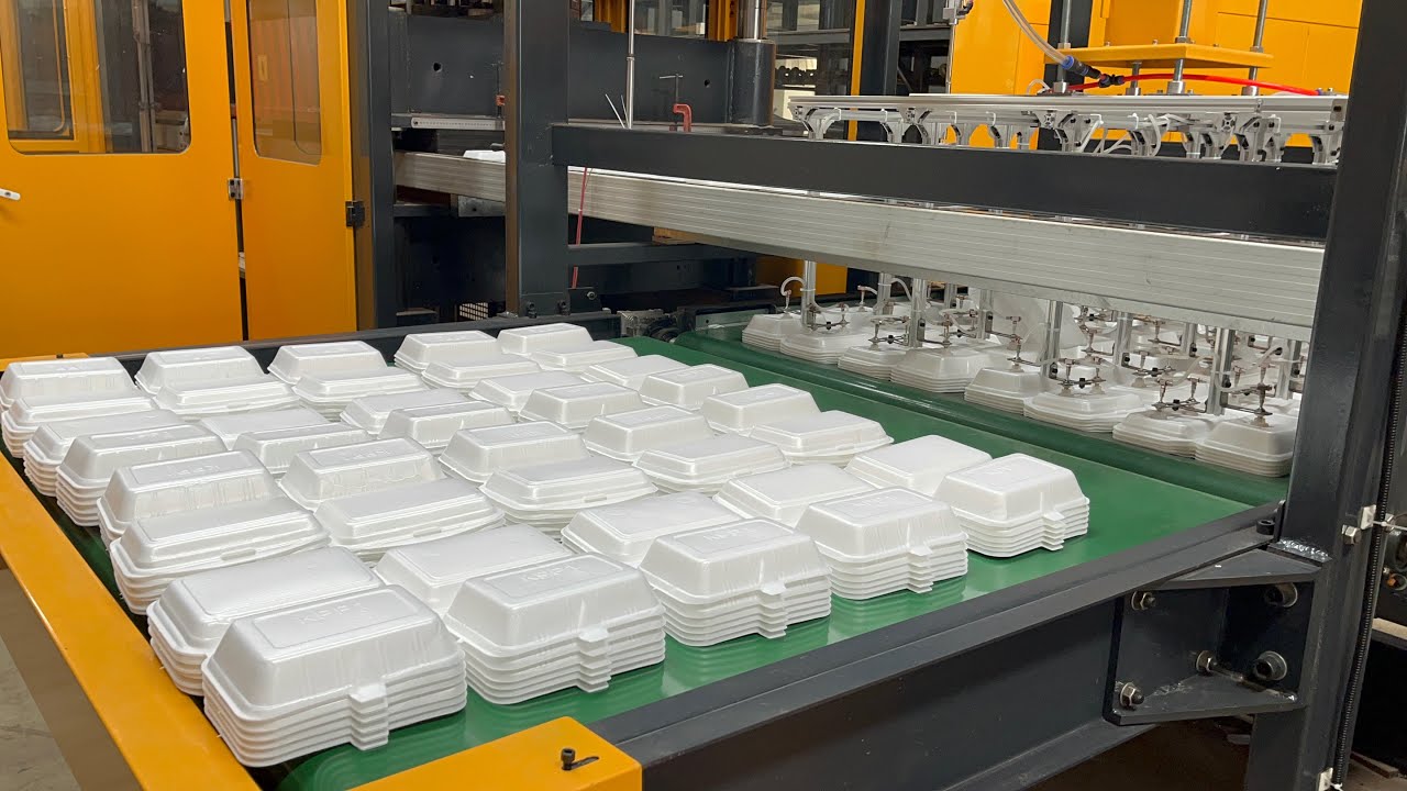 Disposable takeaway pizza tray equipment |Mechanical arm lunch box machine |food box machine