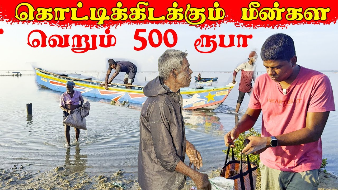 🇨🇦 கனடாவால் வந்தவுடன் உடன் FRESH 🐟மீன் வாங்க கடற்கரைக்கு Jaffna  youtubers | canada Tamil  Vlog