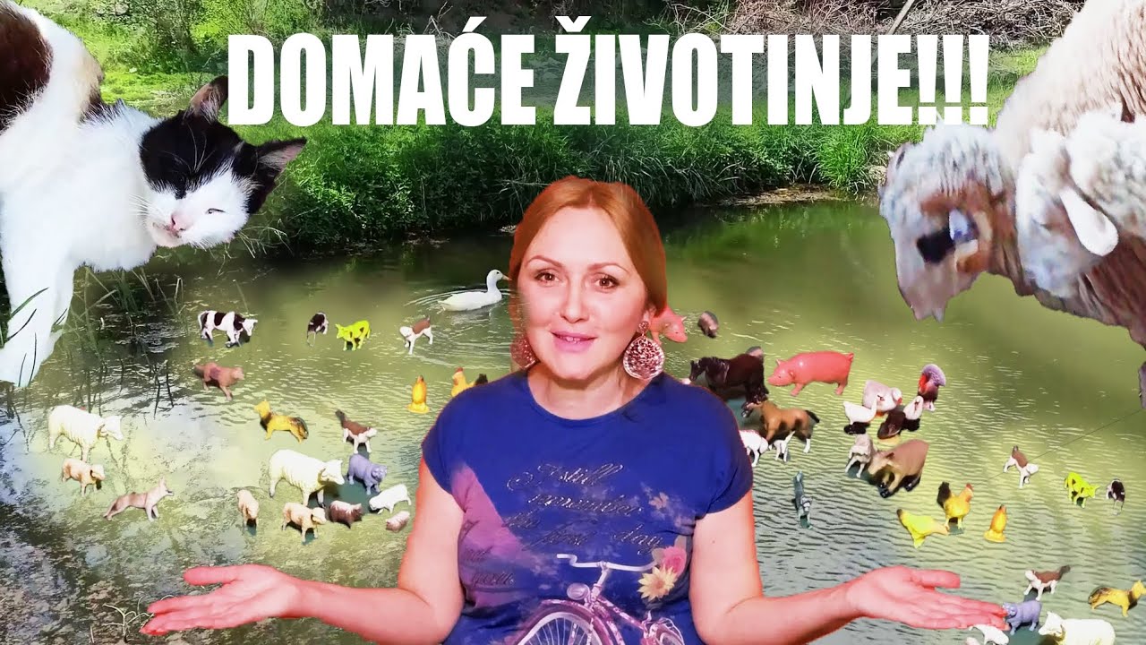 Koja od ovih DOMAĆIH ŽIVOTINJA vam je omiljena?