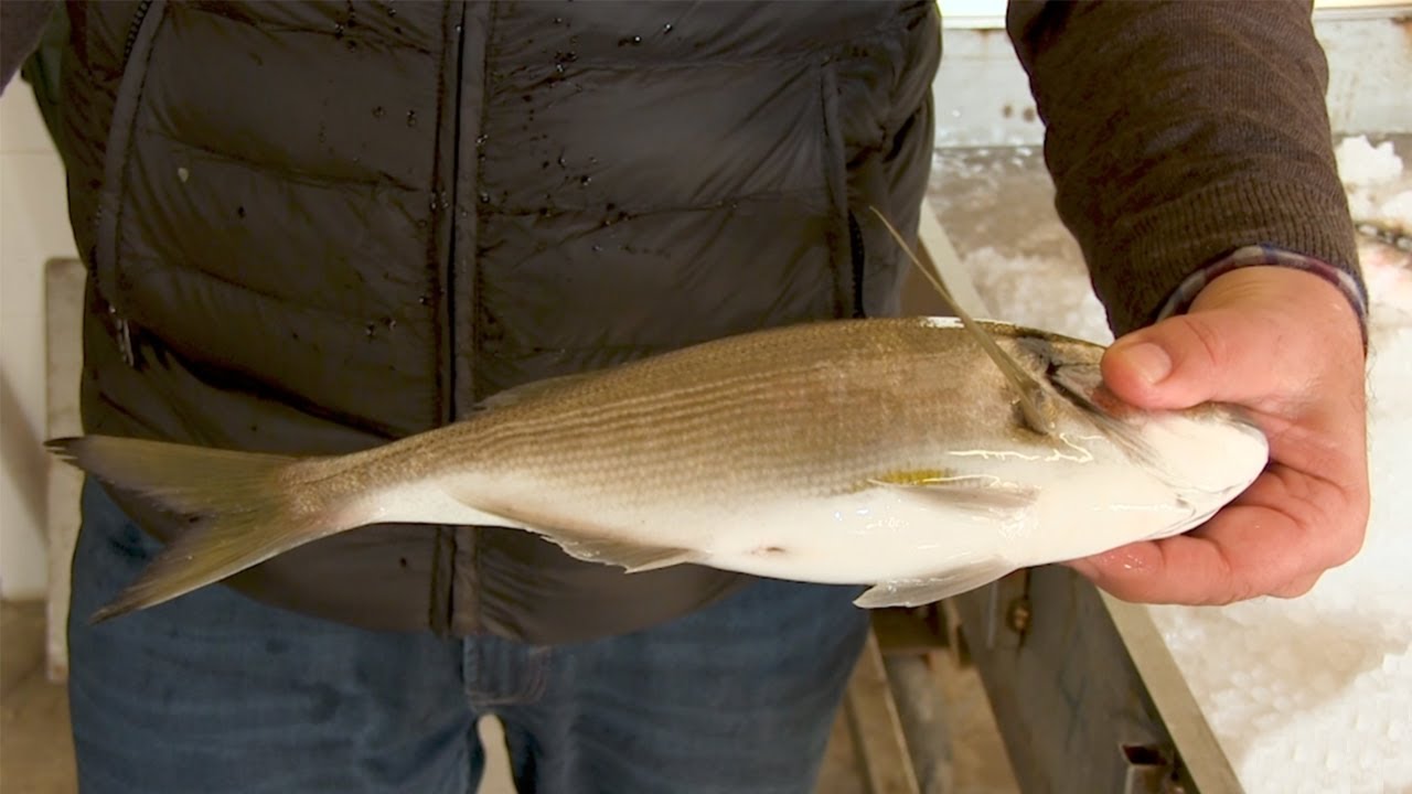 Come riconoscere se il pesce è fresco?