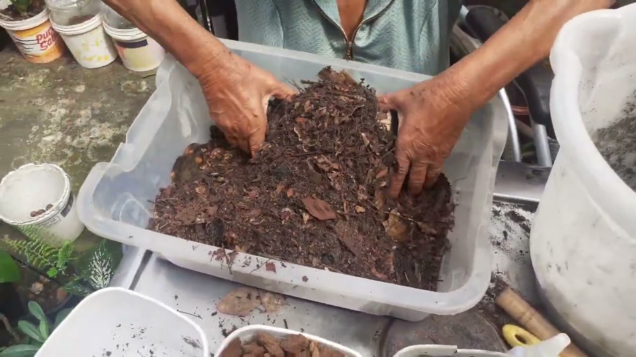 Mudando de substrato a minha costela de Adão