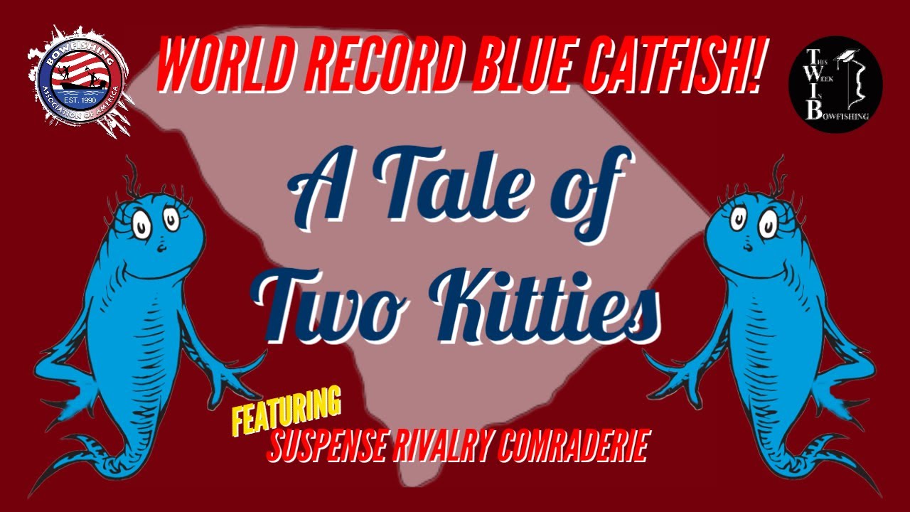 A Tale of Two Kitties - Bowfishing World Record Blue Catfish!
