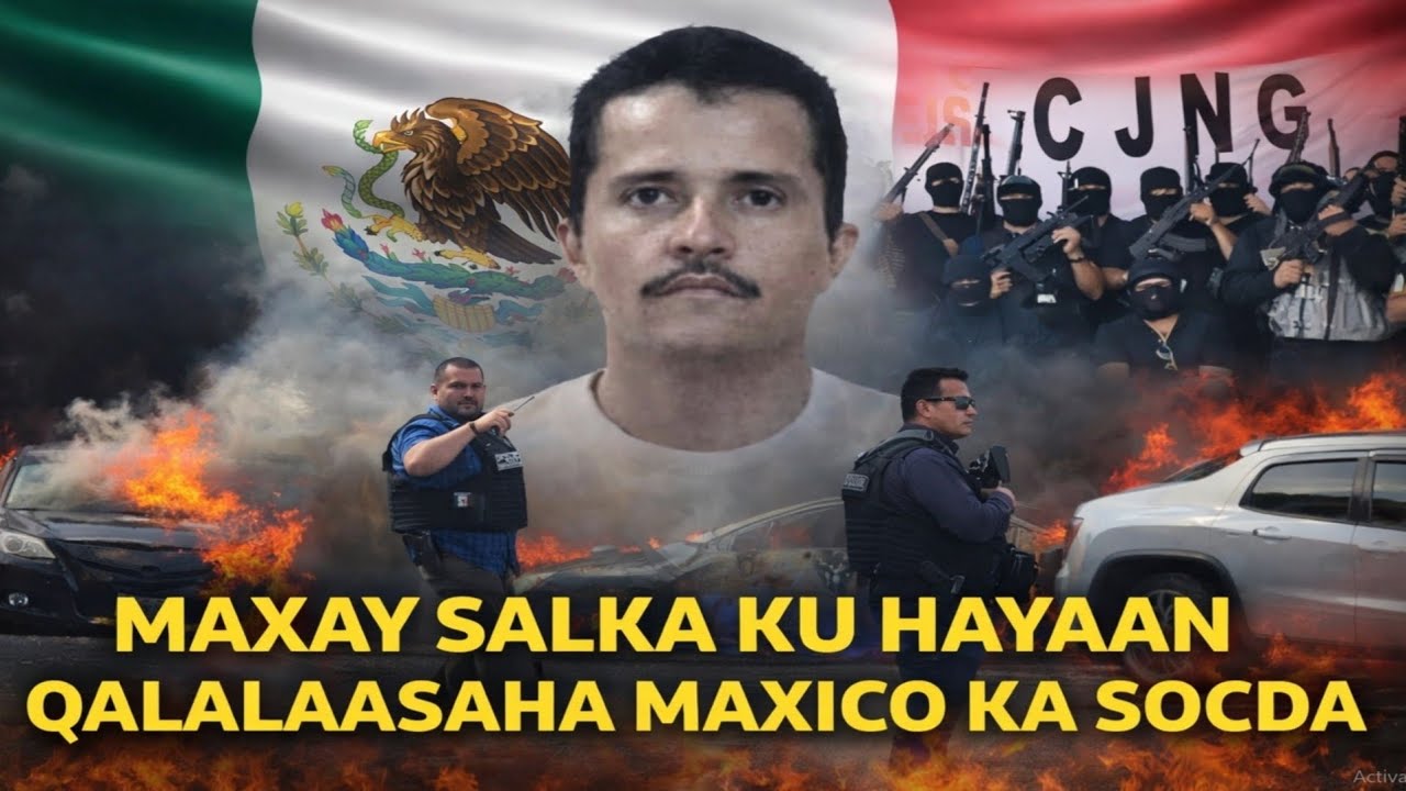 Maxaa Ka Socda Mexico? Hoggaamiye La Dilay