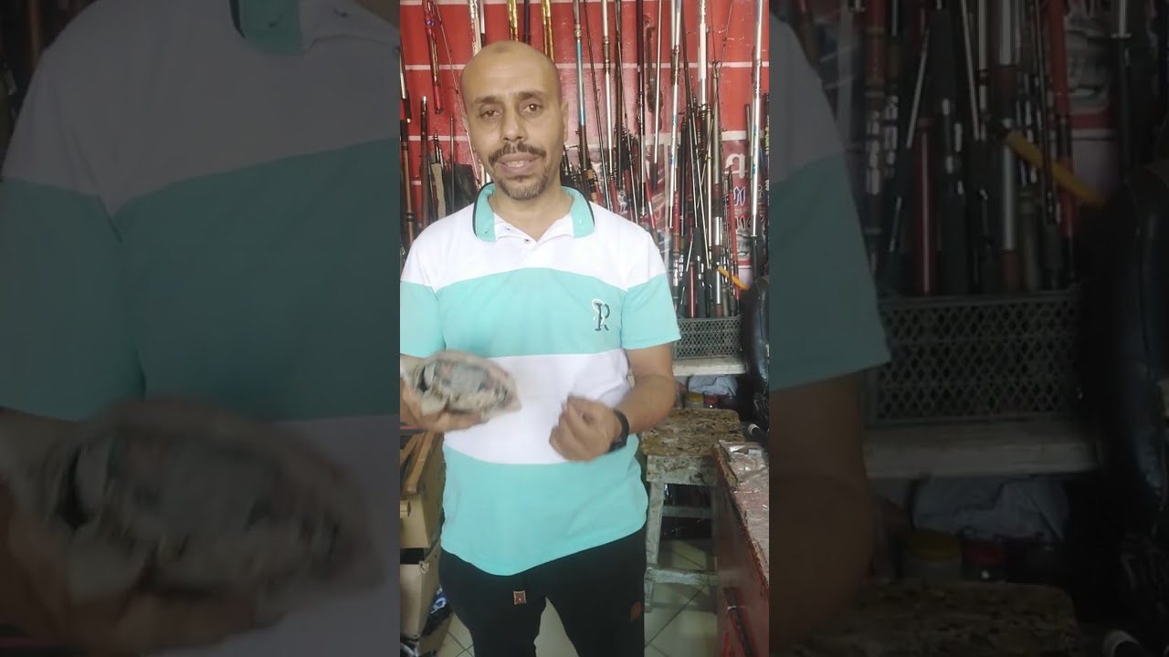 اسعار الطعم البلدى يوم بيوم سيد يحى 01009153870