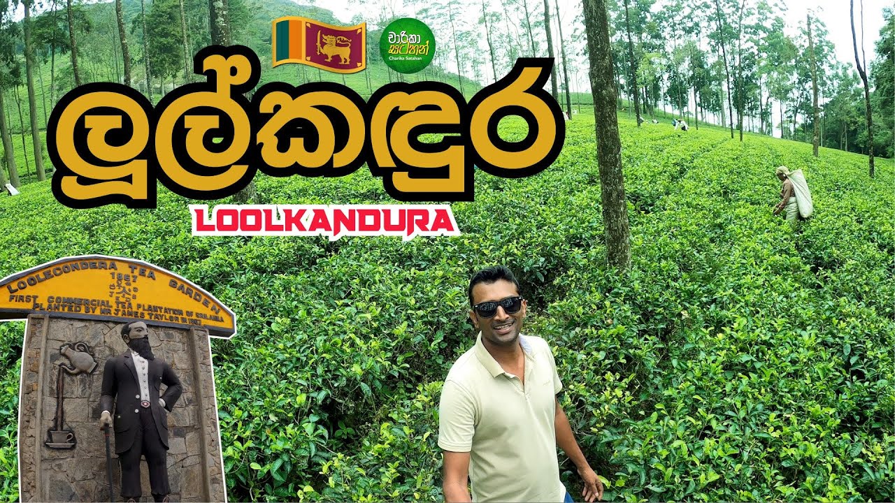 LOOLKANDURA - First Commercial Tea Estate in Ceylon  (Travel Vlog 90)