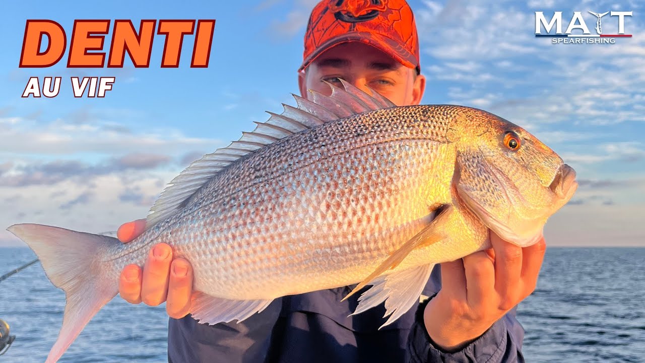 4 Beaux Poissons en Pêche au Vif !