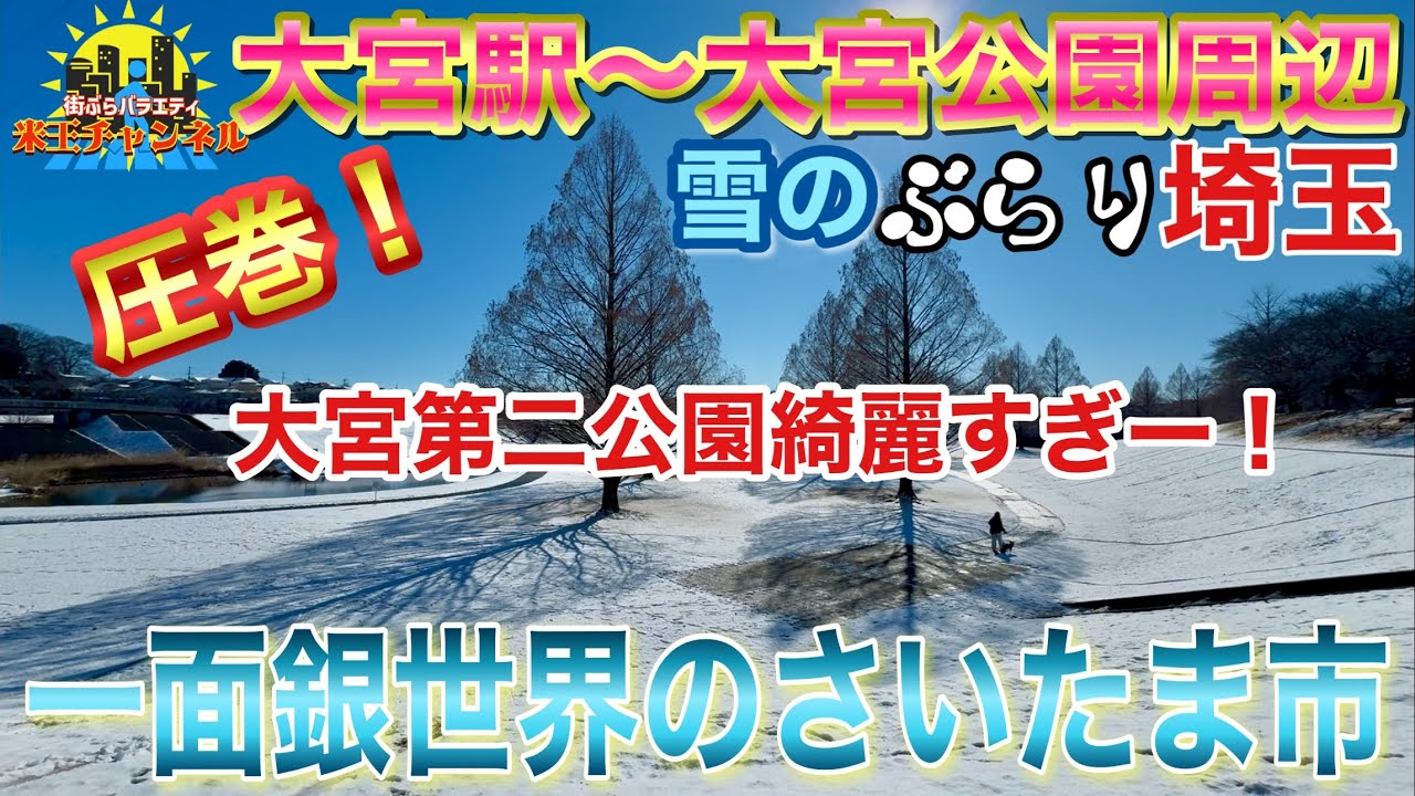 【ぶらり.埼玉】初雪万歳！一面銀世界のさいたま市を三が日にぶらり散策