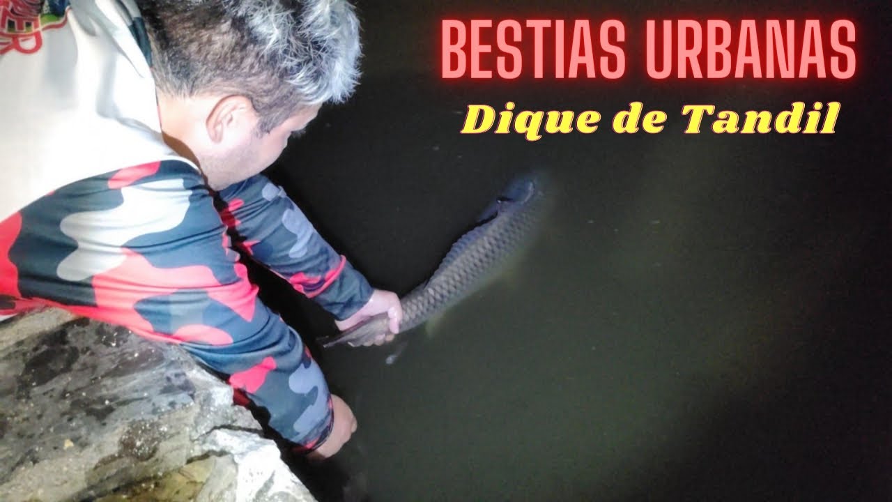 Pescamos las BESTIAS del Dique de Tandil. VIDEO EPICO 🔥🤣