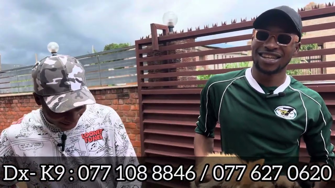 Dog Breeders Zimbabwe Harare