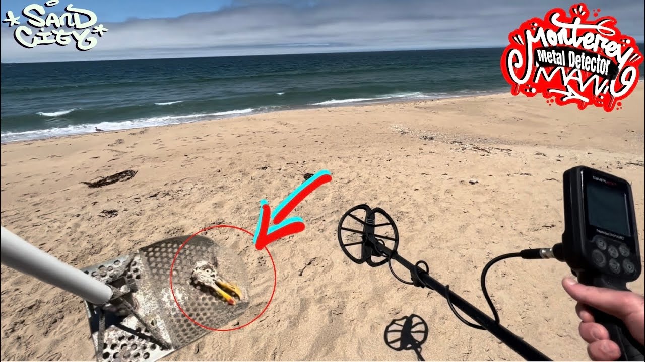 FREE SKULL DAY!! Metal Detecting on a California Beach!!