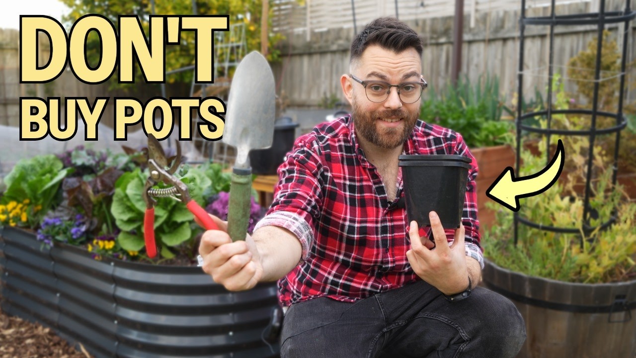 What Do New Gardeners ACTUALLY Need?