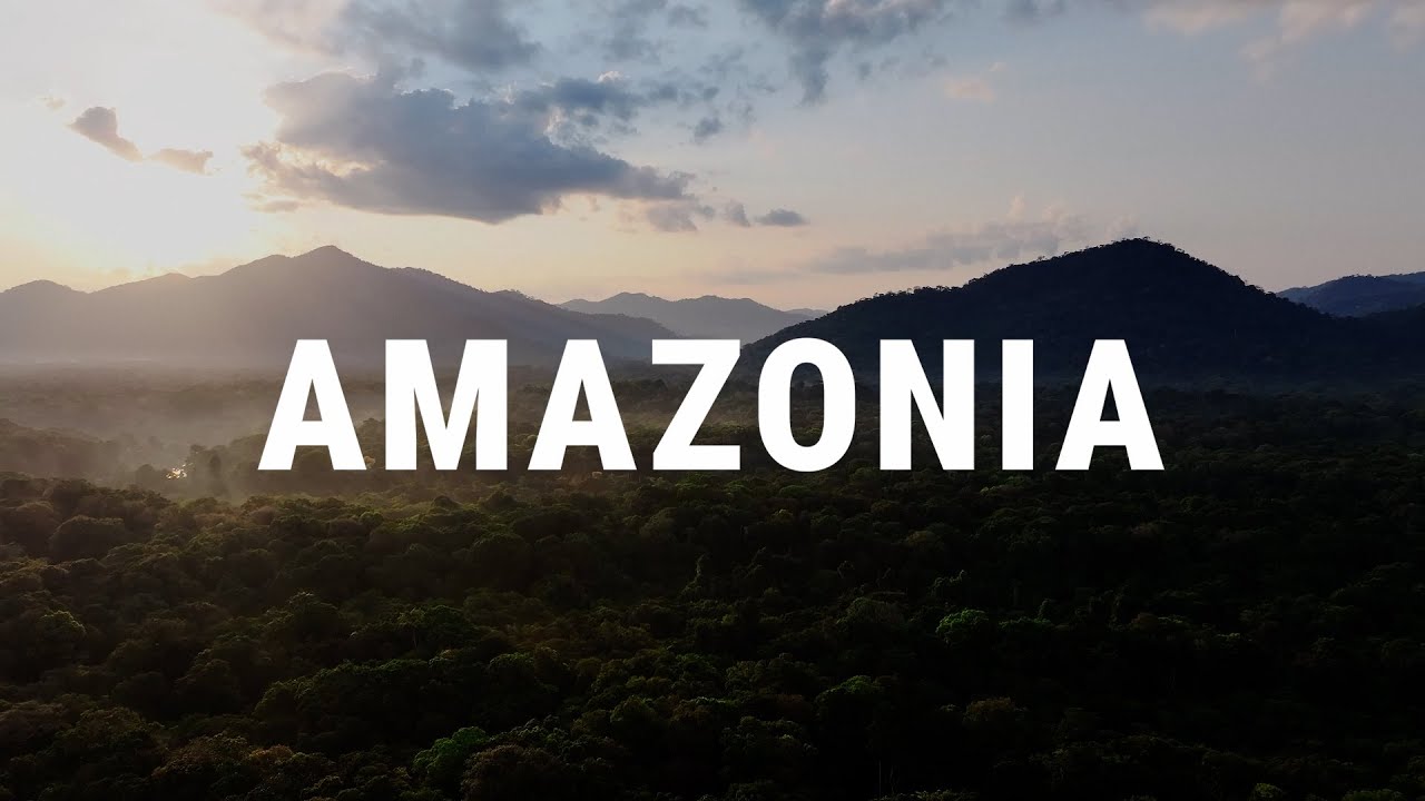 Three country teams – one mission: Protecting the Amazon