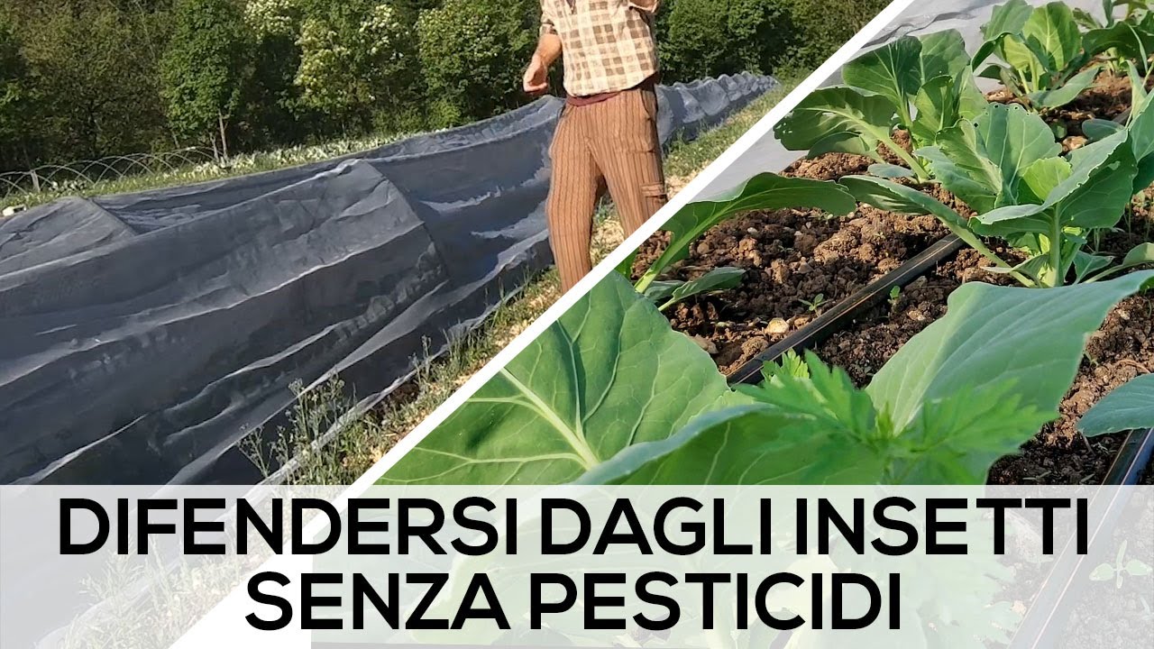 Minitunnel a BASSO COSTO - Miniserra fai da te