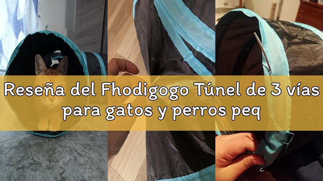 Reseña del Fhodigogo Túnel de 3 vías para gatos y perros pequeños - Juguete para cachorros y conejos