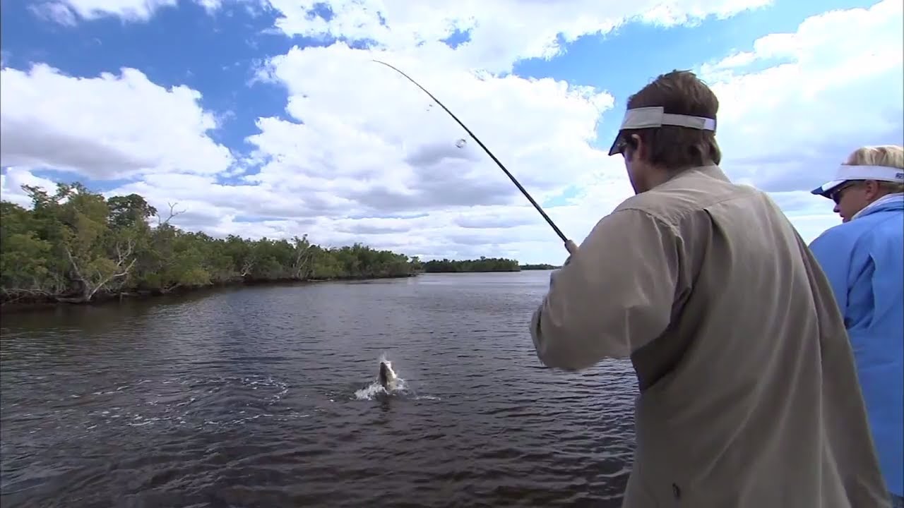 Mirrolure Mirrodine Fishing for Everglades Monster Snook