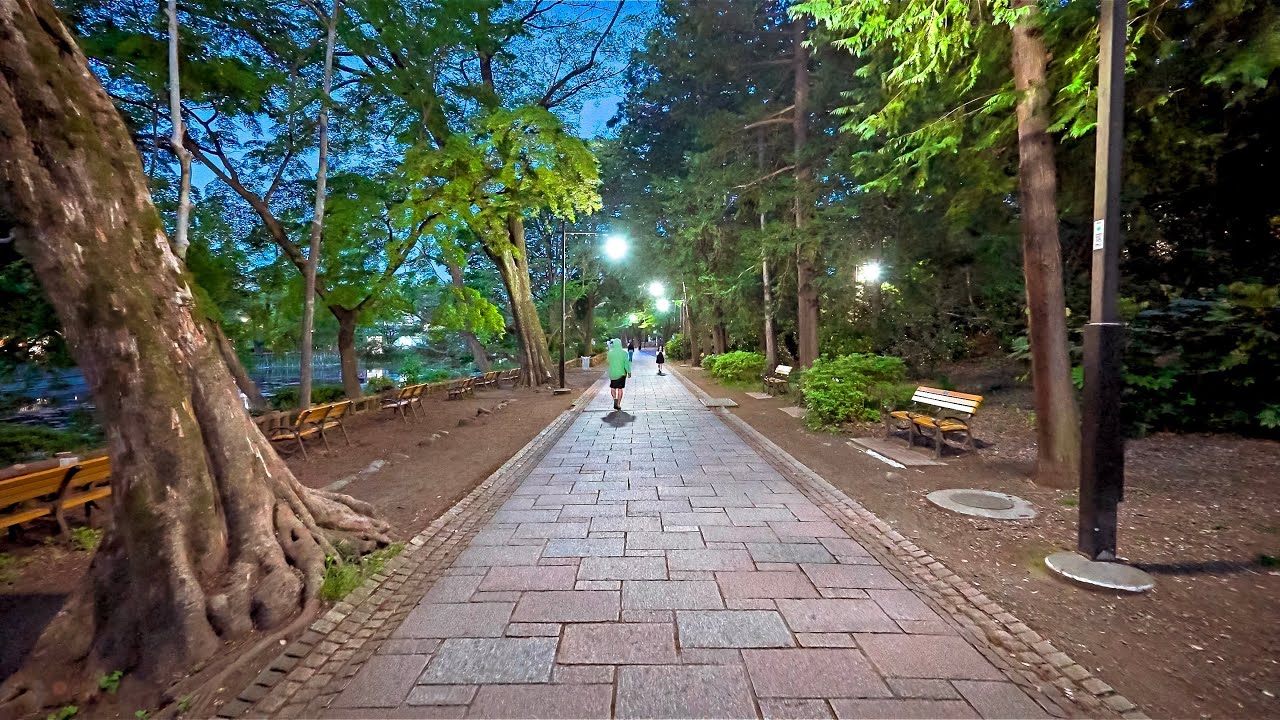 Suburban West Tokyo, Evening Walk in Mitaka, Japan &bull; 4K HDR