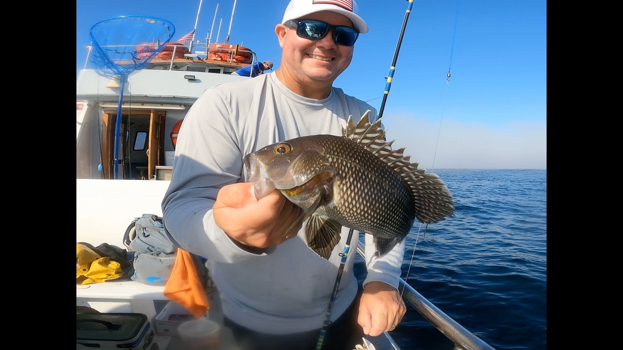 Over 1,200 SEA BASS Caught in Ocean City, MD.. How-To: rigs, jigs & bait! BANNER DAY on THE ANGLER!🔥