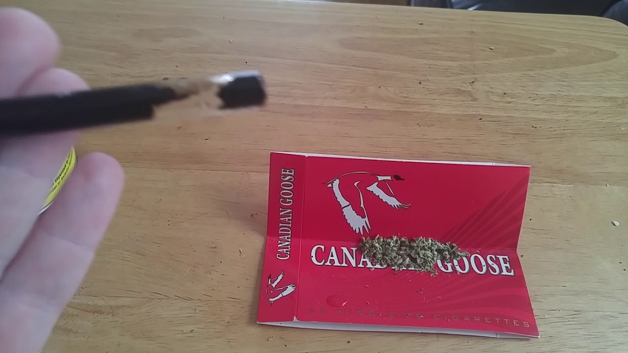 Canaca Mango OCS review