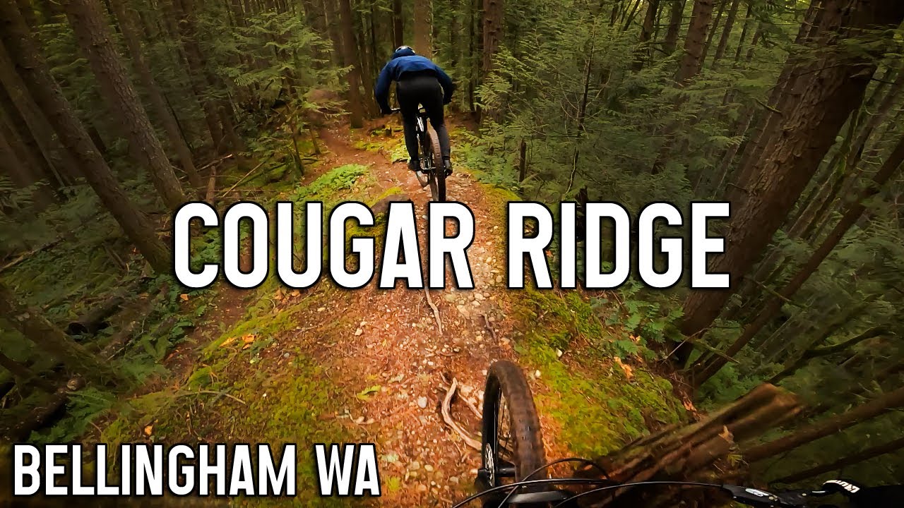 Cougar Ridge - Bellingham Mountain Biking
