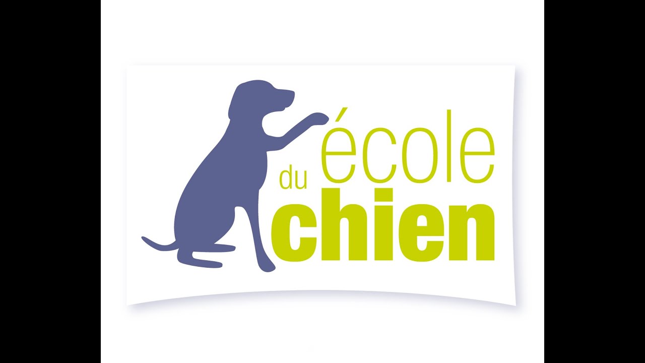 Exemple de concours inter-races niveau 1 pour chiens de troupeau.