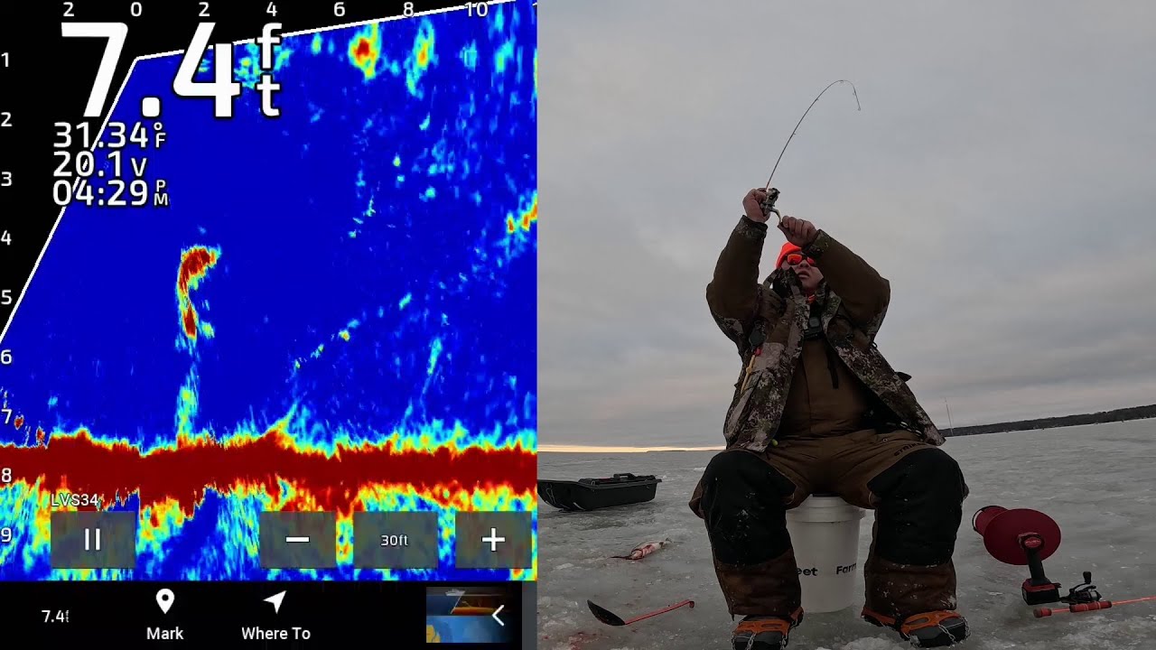 Whitefish Livescope Action! (Almost Limit Out in an Hour!)
