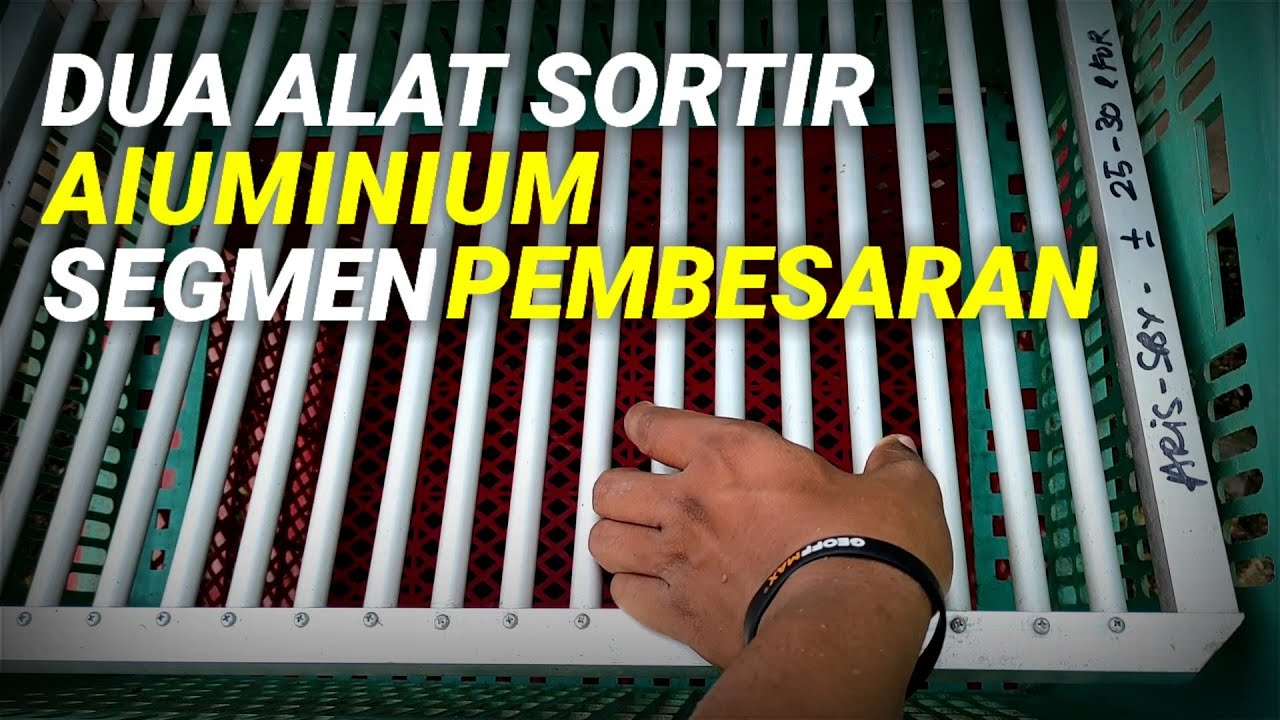 2 ALAT SORTIR IKAN LELE ALUMUNIUM UNTUK SEGMEN PEMBESARAN