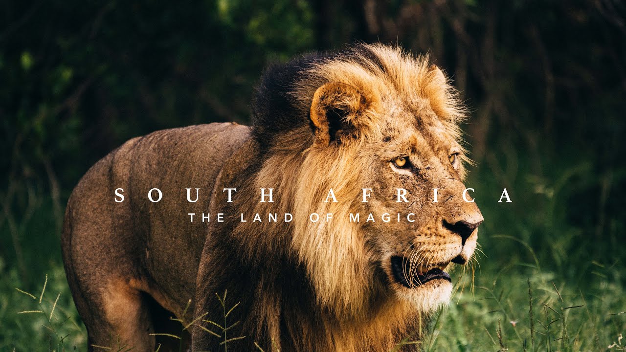 South Africa: The land of magic｜Shot on BMPCC 6k