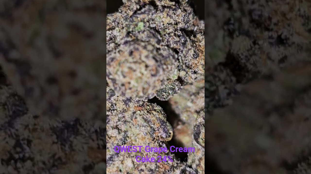 Grape cream cake 24% medical cannabis review 8/10